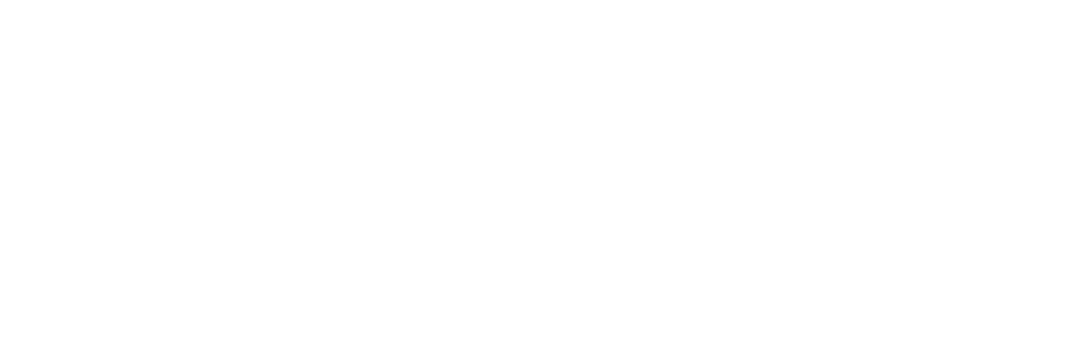 1fonie — Téléphonie IP, Cybersécurité & Informatique